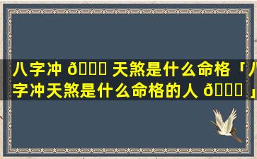 八字冲 🐕 天煞是什么命格「八字冲天煞是什么命格的人 🐕 」